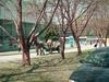 Новосибирск